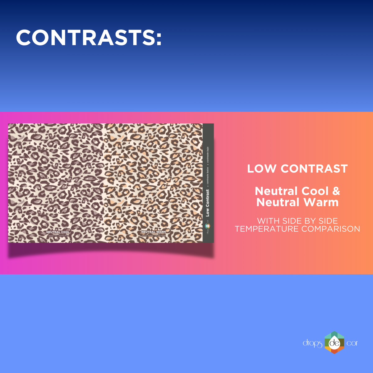 New 2026 Edition - Animal Print - Fashion Pattern Collection