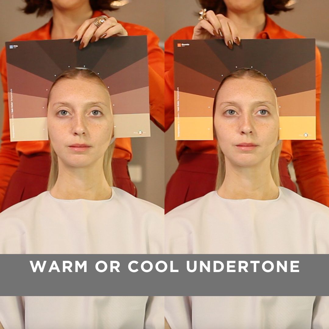 Hair Color Charts