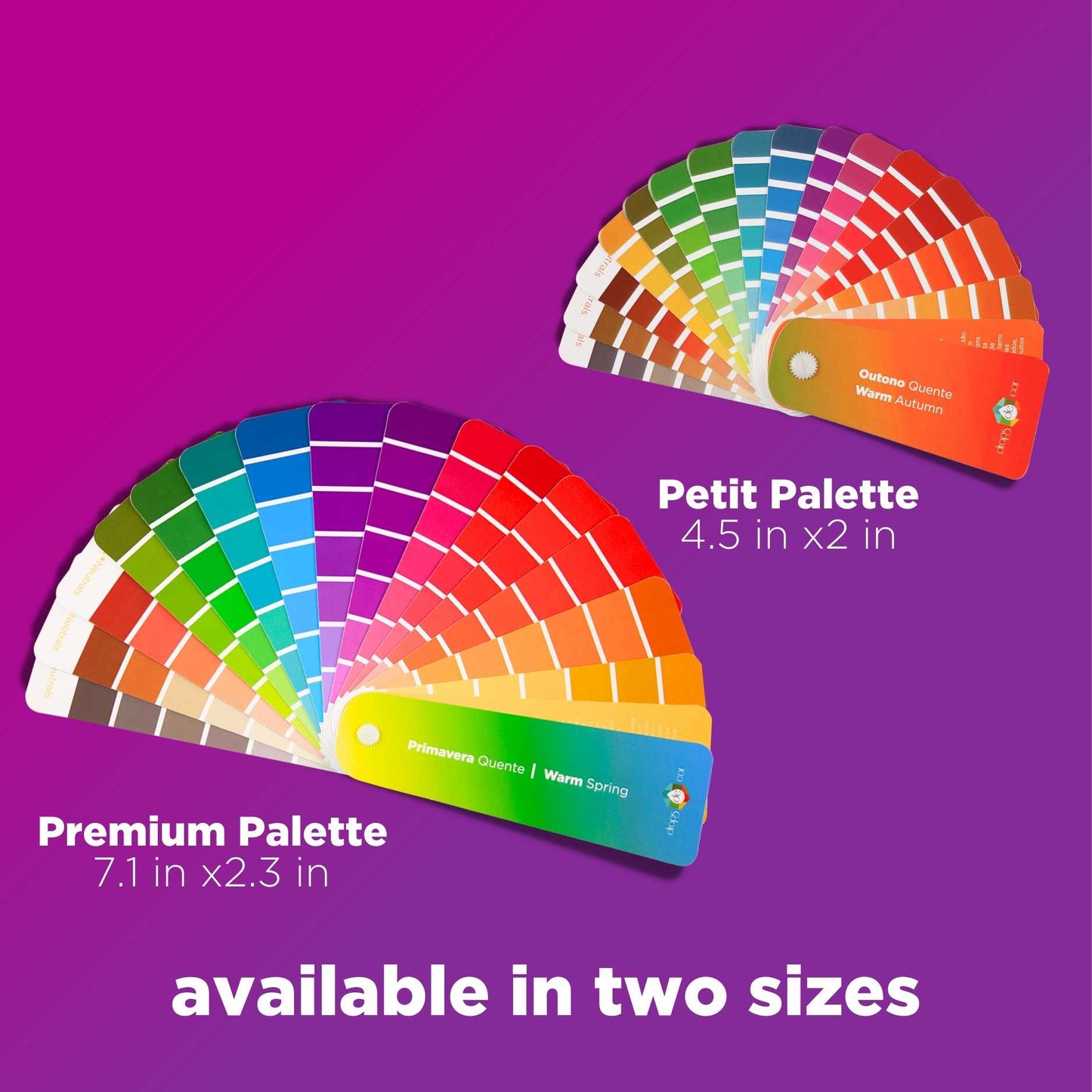 Seasonal Color Analysis Palette Premium  - Warm Spring