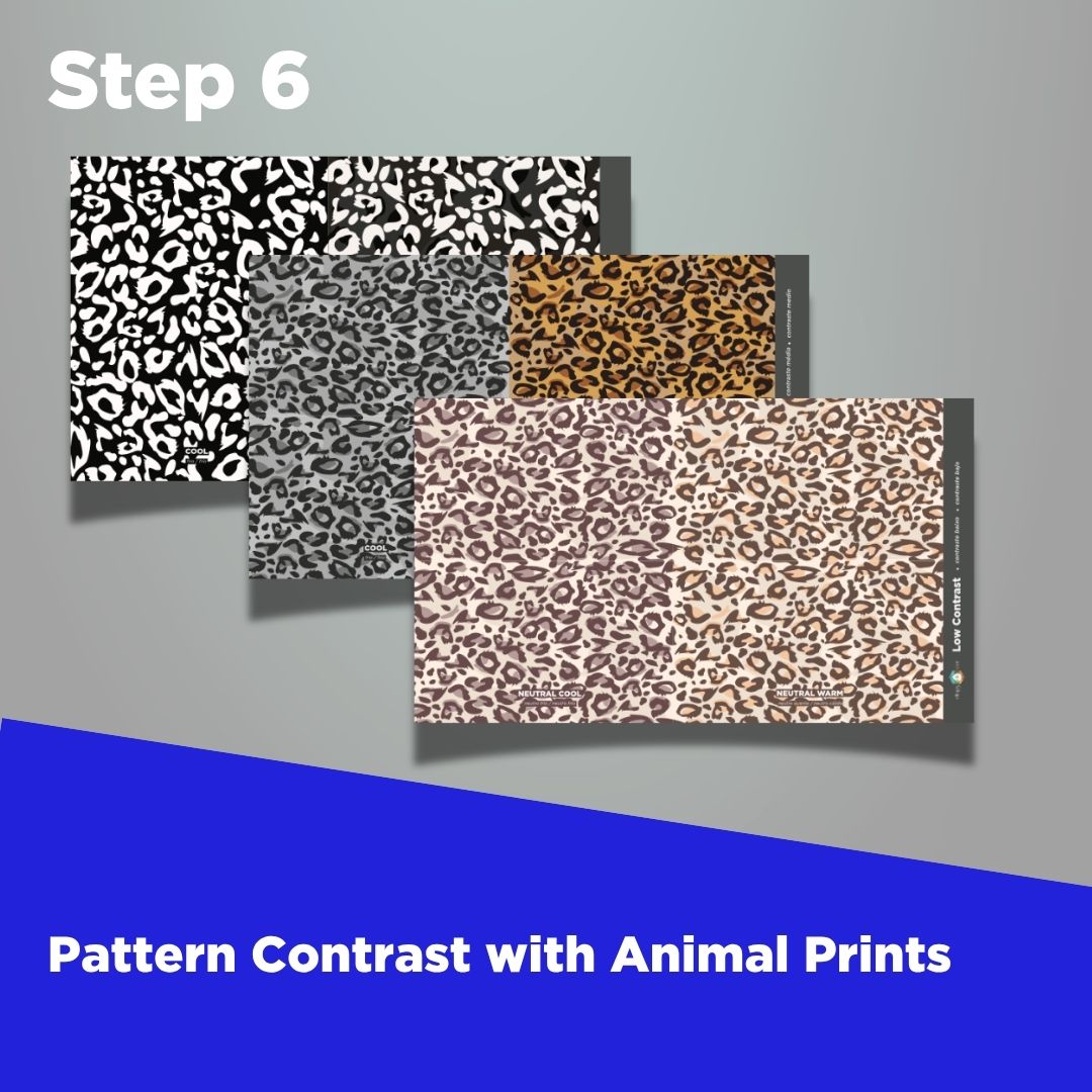 Intermediate Professional Set - Course Bundle