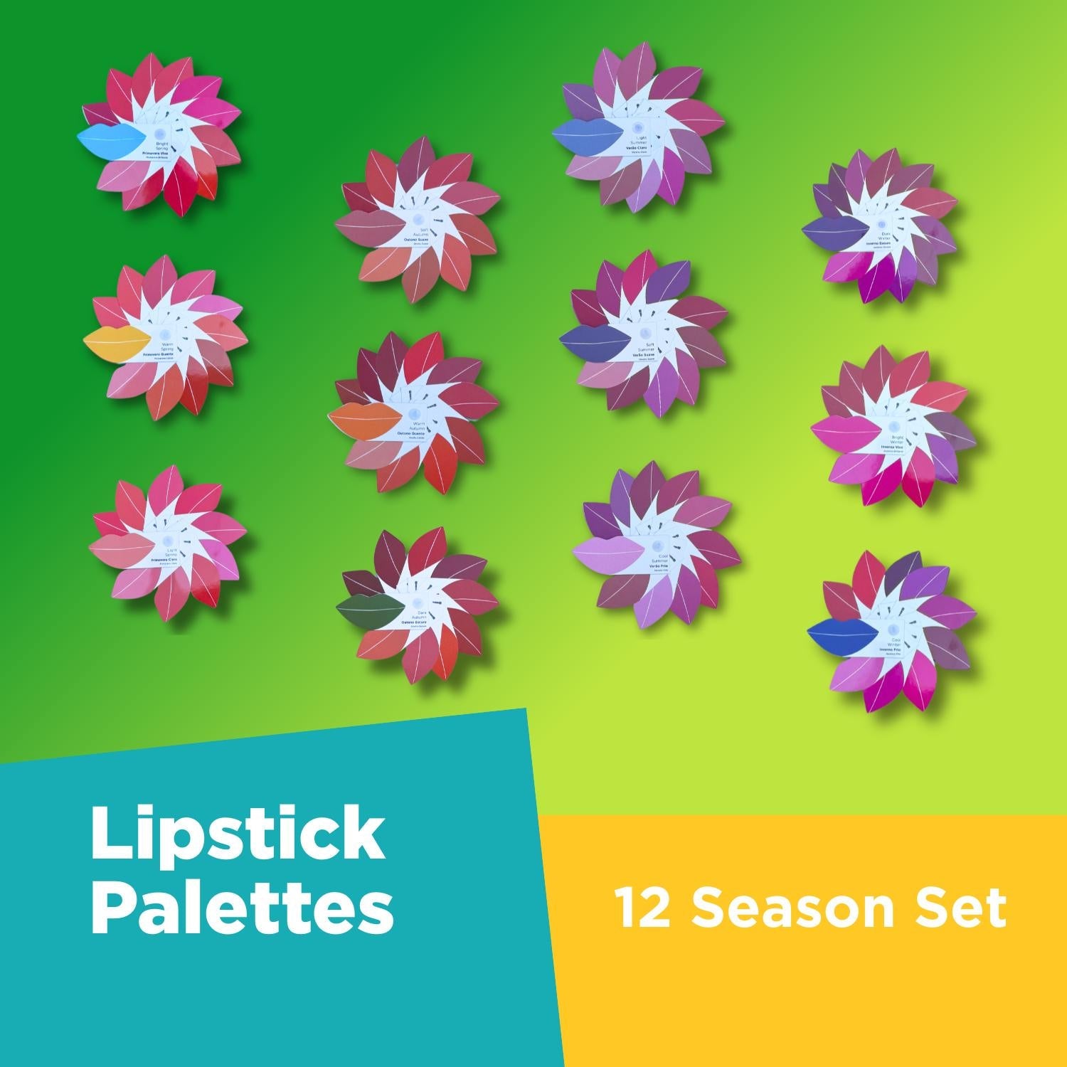 Lipstick + Hair + Makeup Palette - 12 Season Set