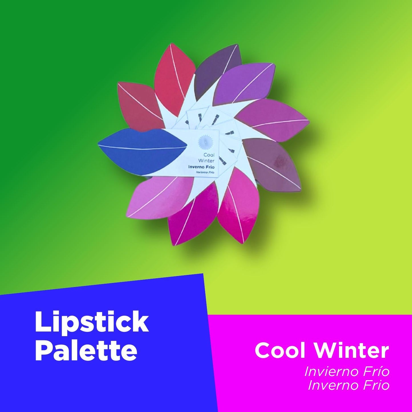 Your Colors Set - Cool Winter