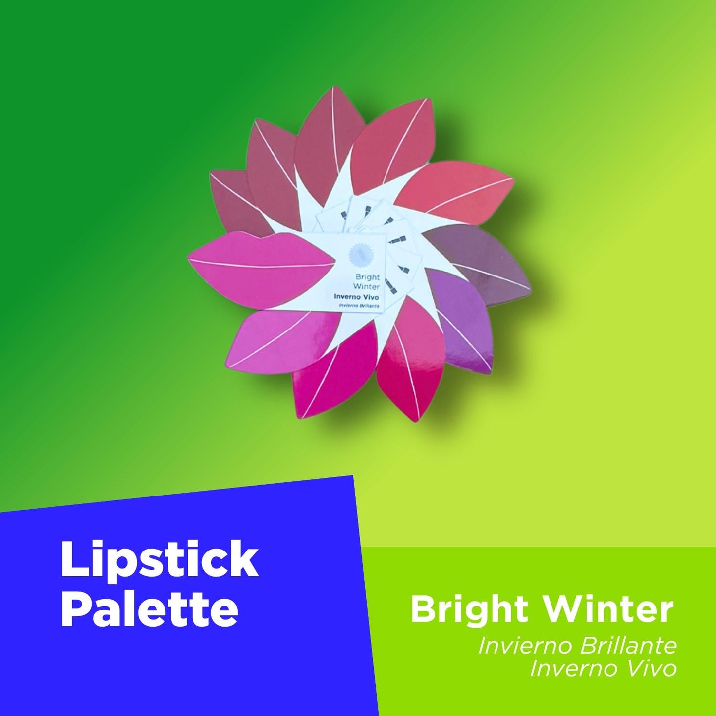 Your Colors Set - Bright Winter