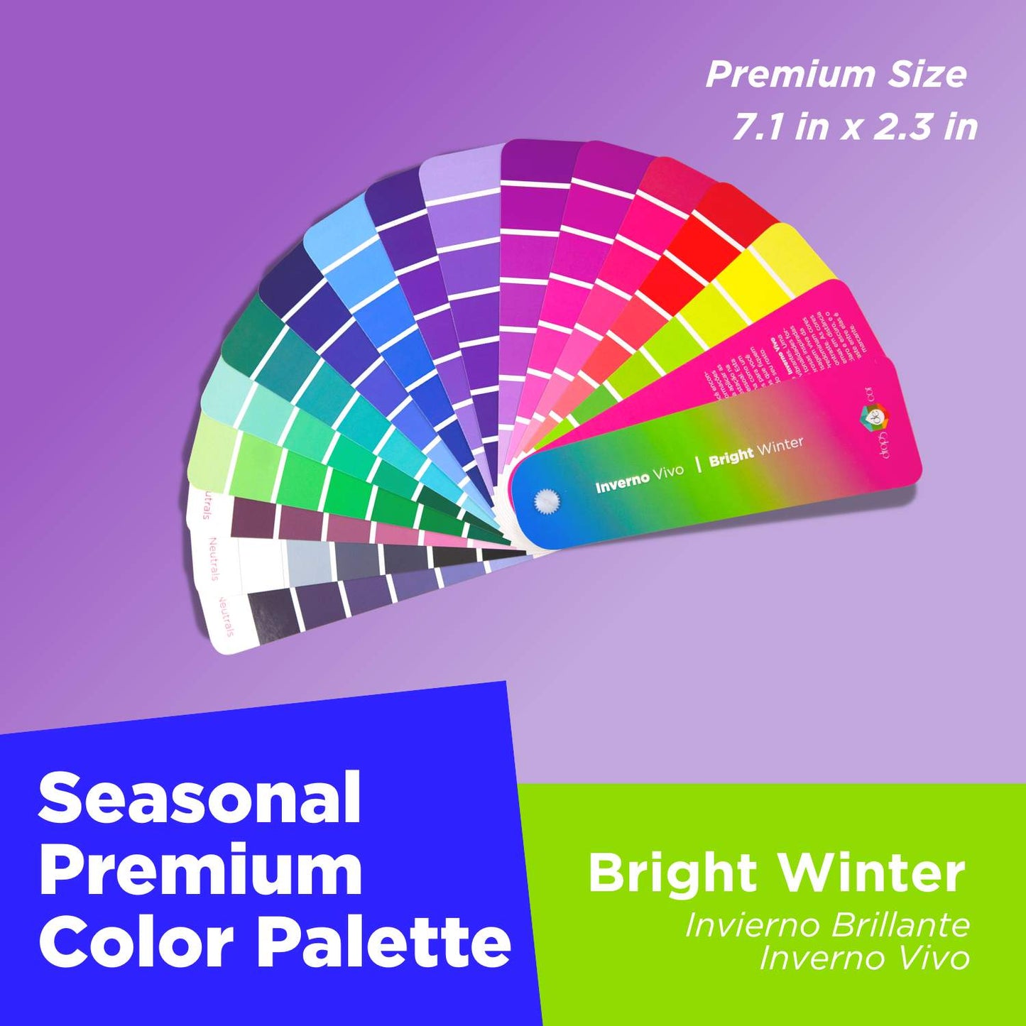 Seasonal Color Analysis Palette Premium  - Bright Winter