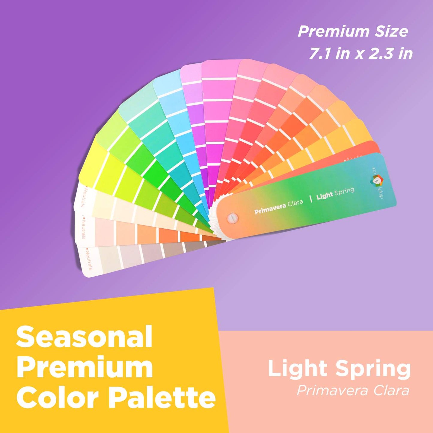 Seasonal Color Analysis Palette Premium  - Light Spring