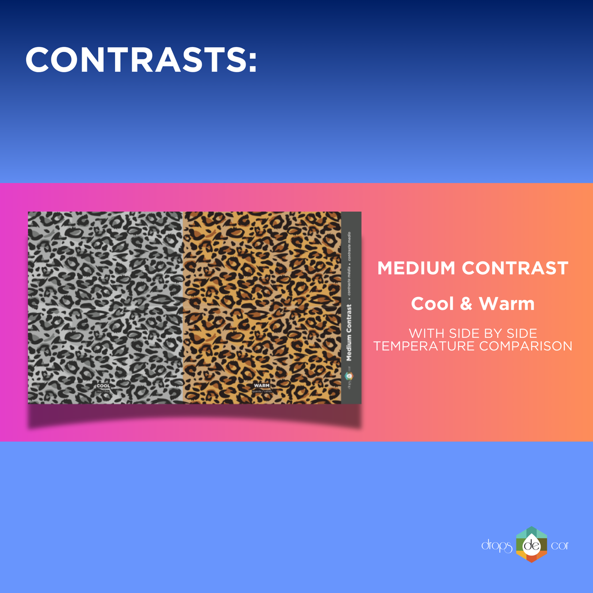 New 2026 Edition - Animal Print - Fashion Pattern Collection